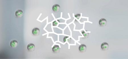 VIREN UND LUFTFEUCHTE #03 VIREN UND LUFTFEUCHTE #03